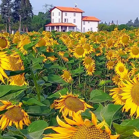 La Collinetta Oda ve Kahvaltı 3*