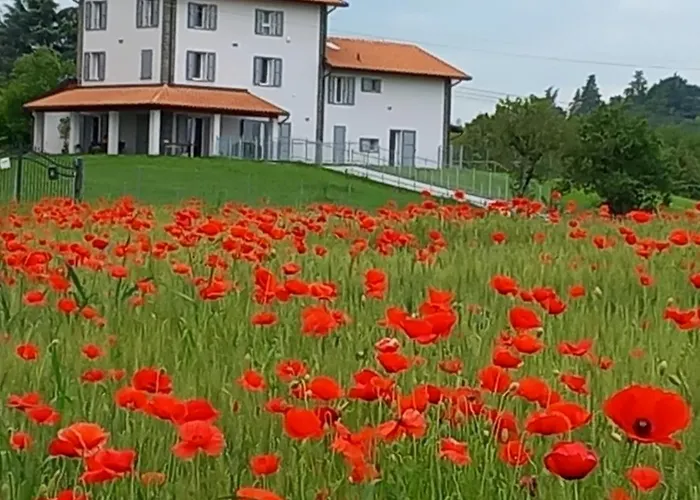 Bed & Breakfast La Collinetta 3*