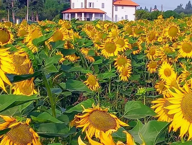 La Collinetta Alojamento de Acomodação e Pequeno-almoço 3*